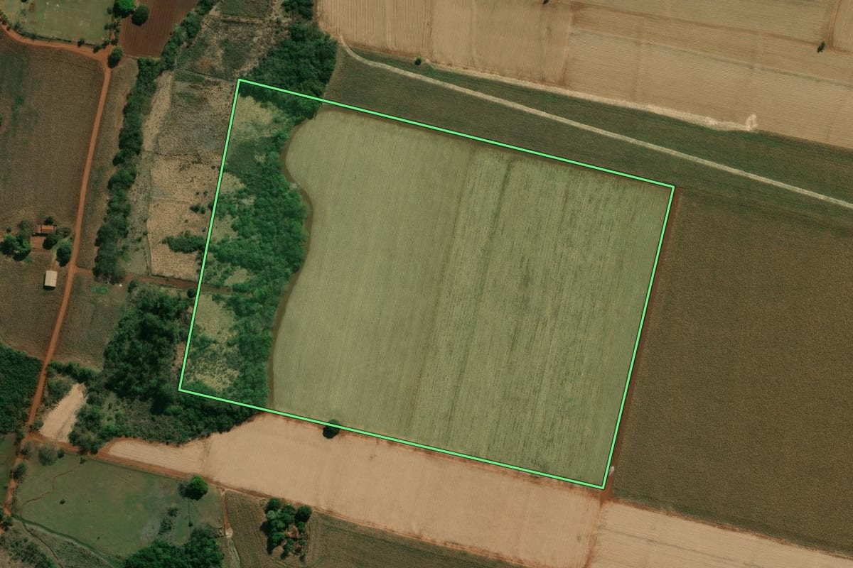 Imagem de satélite do imóvel rural em Palmital (SP), com o contorno declarado no CAR desenhado por cima.