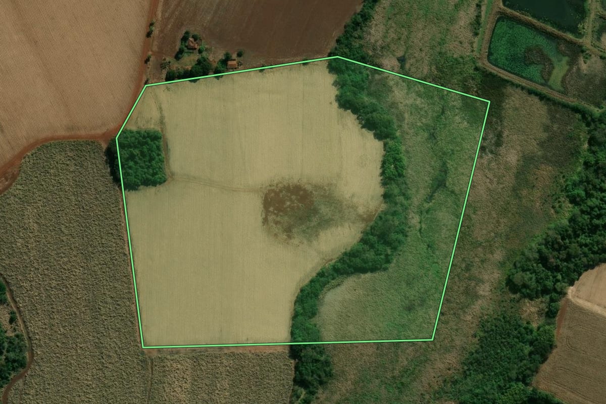 Imagem de satélite do imóvel rural em Palmital (SP), com o contorno declarado no CAR desenhado por cima.