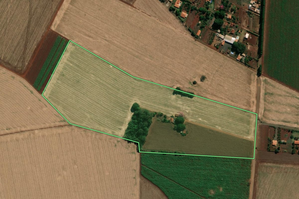 Imagem de satélite do imóvel rural em Palmital (SP), com o contorno declarado no CAR desenhado por cima.