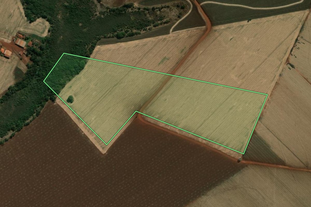Imagem de satélite do imóvel rural em Palmital (SP), com o contorno declarado no CAR desenhado por cima.