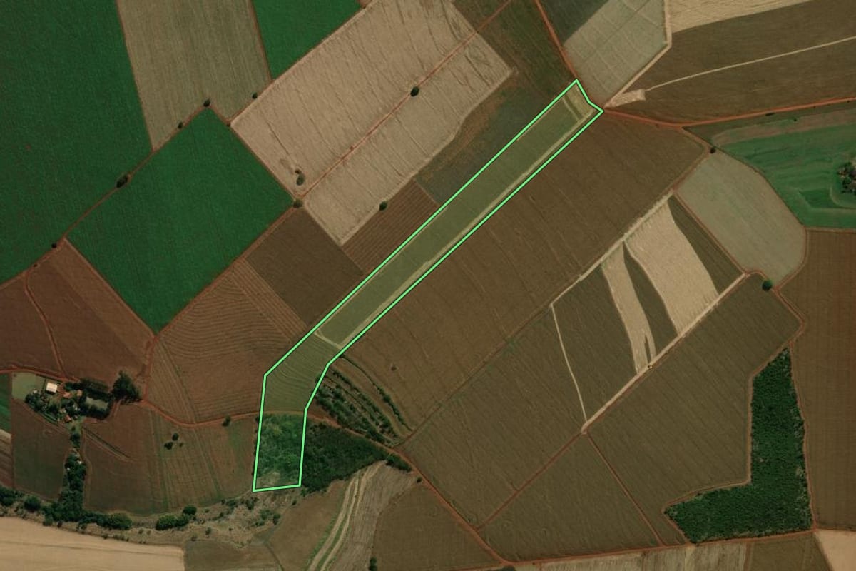 Imagem de satélite do imóvel rural em Palmital (SP), com o contorno declarado no CAR desenhado por cima.