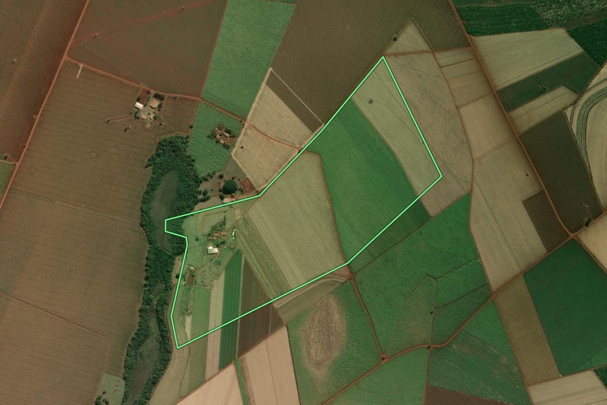 Imagem de satélite do imóvel rural em Palmital (SP), com o contorno declarado no CAR desenhado por cima.