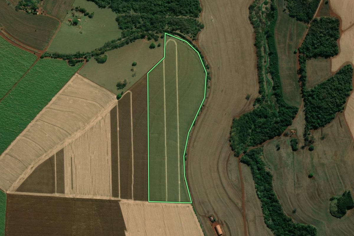 Imagem de satélite do imóvel rural em Palmital (SP), com o contorno declarado no CAR desenhado por cima.
