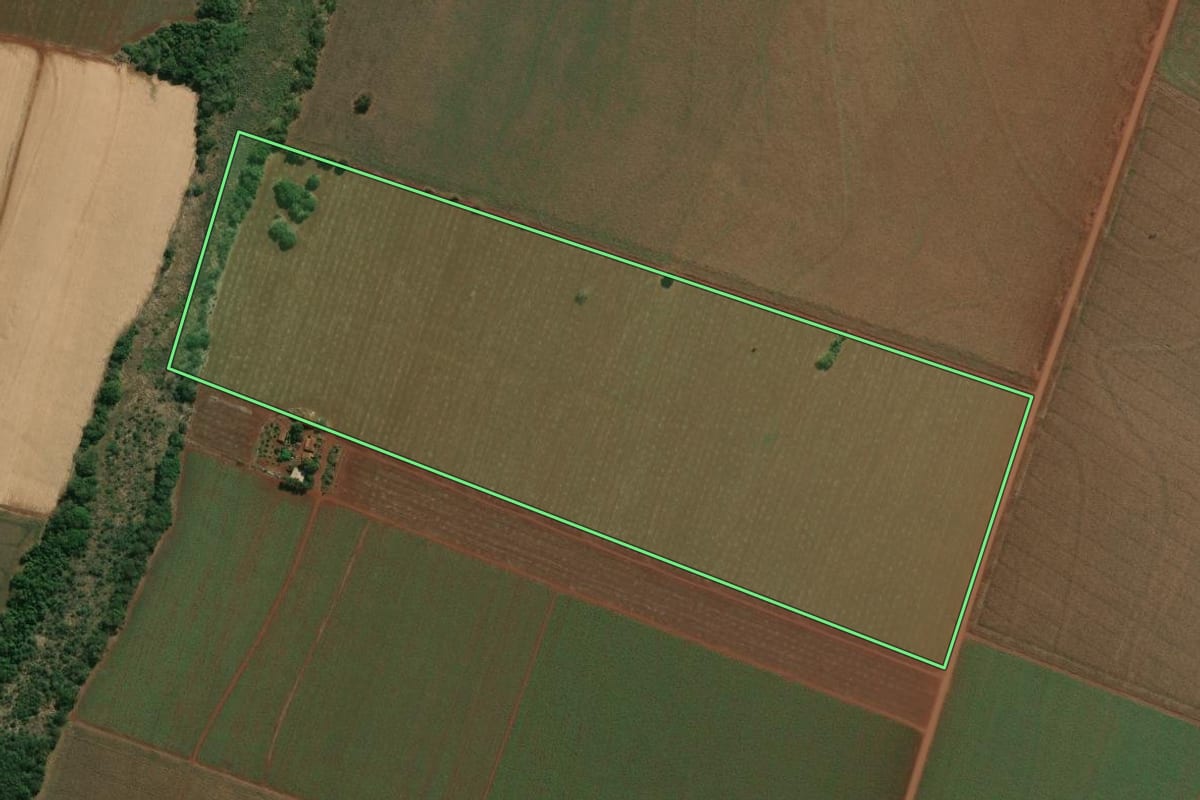 Imagem de satélite do imóvel rural em Palmital (SP), com o contorno declarado no CAR desenhado por cima.