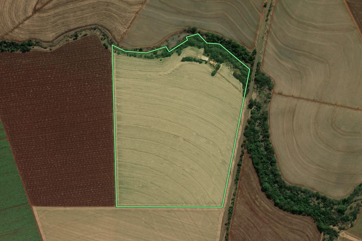 Imagem de satélite do imóvel rural em Palmital (SP), com o contorno declarado no CAR desenhado por cima.