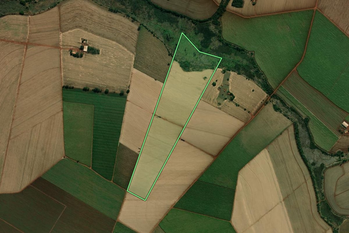Imagem de satélite do imóvel rural em Palmital (SP), com o contorno declarado no CAR desenhado por cima.