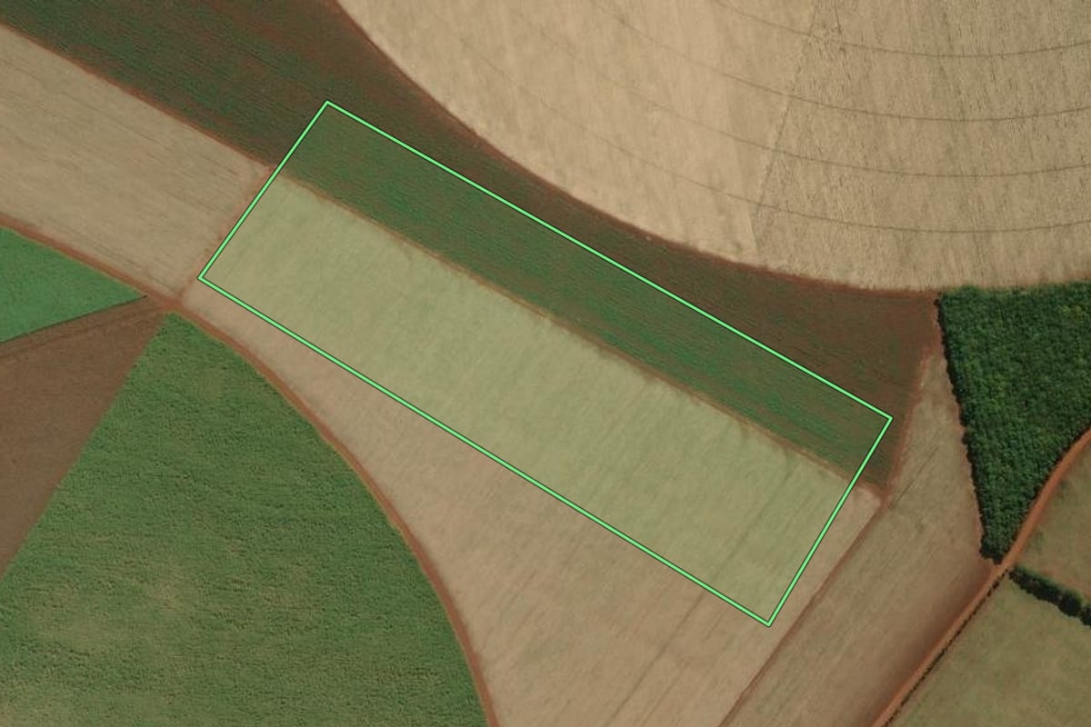 Imagem de satélite do imóvel rural em Palmital (SP), com o contorno declarado no CAR desenhado por cima.