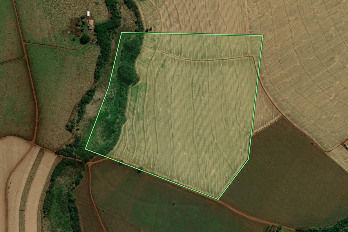 Imagem de satélite do imóvel rural em Palmital (SP), com o contorno declarado no CAR desenhado por cima.