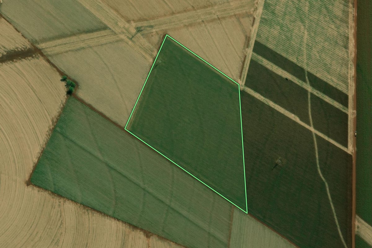 Imagem de satélite do imóvel rural em Palmital (SP), com o contorno declarado no CAR desenhado por cima.