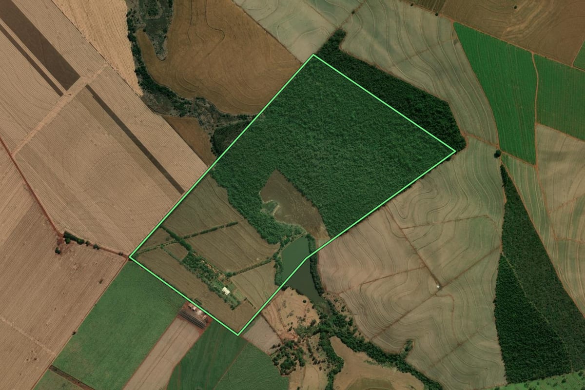 Imagem de satélite do imóvel rural em Palmital (SP), com o contorno declarado no CAR desenhado por cima.