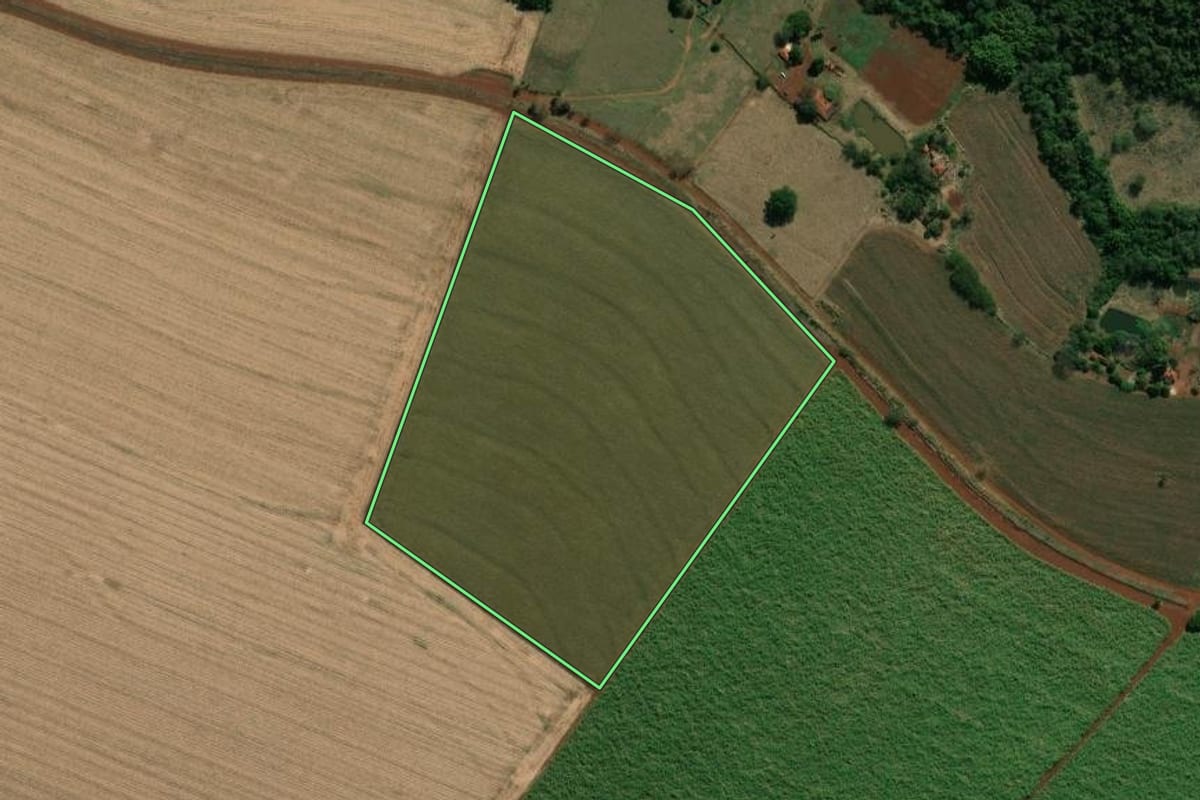 Imagem de satélite do imóvel rural em Palmital (SP), com o contorno declarado no CAR desenhado por cima.