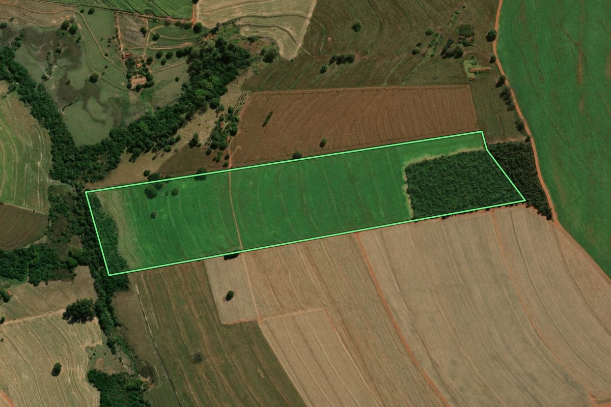 Imagem de satélite do imóvel rural em Palmital (SP), com o contorno declarado no CAR desenhado por cima.