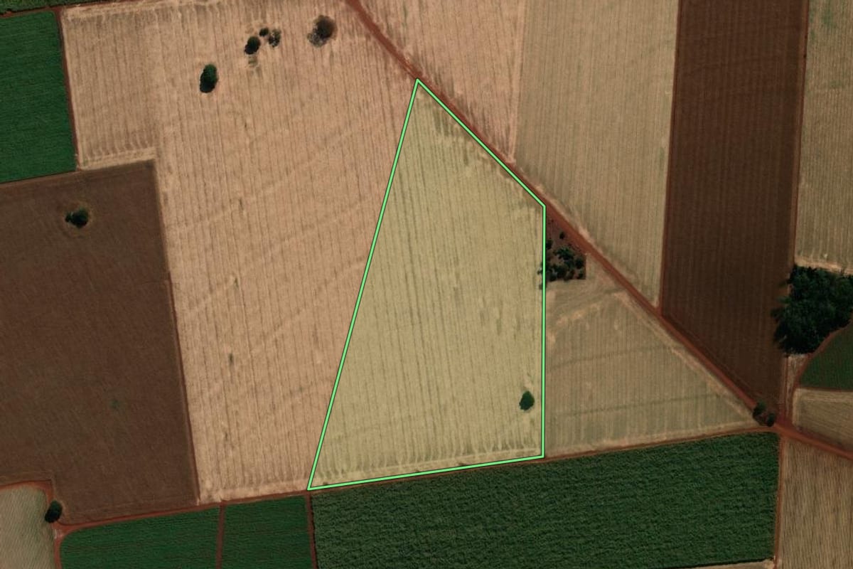 Imagem de satélite do imóvel rural em Palmital (SP), com o contorno declarado no CAR desenhado por cima.