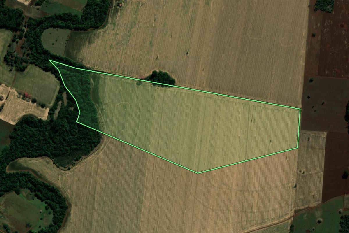 Imagem de satélite do imóvel rural em Palmital (SP), com o contorno declarado no CAR desenhado por cima.