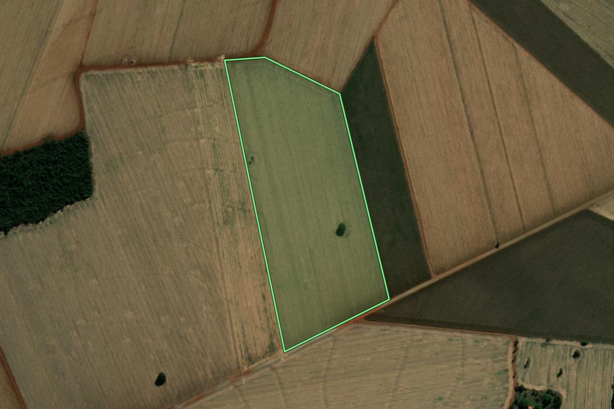 Imagem de satélite do imóvel rural em Palmital (SP), com o contorno declarado no CAR desenhado por cima.