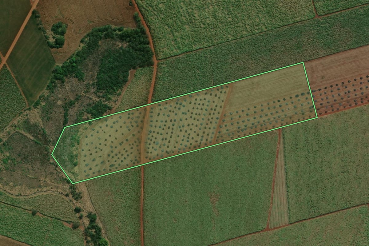 Imagem de satélite do imóvel rural em Palmital (SP), com o contorno declarado no CAR desenhado por cima.