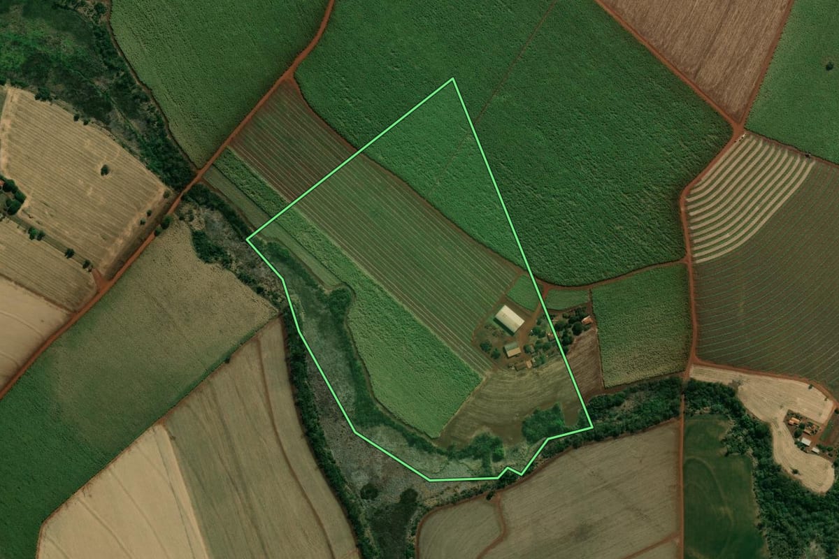 Imagem de satélite do imóvel rural em Palmital (SP), com o contorno declarado no CAR desenhado por cima.