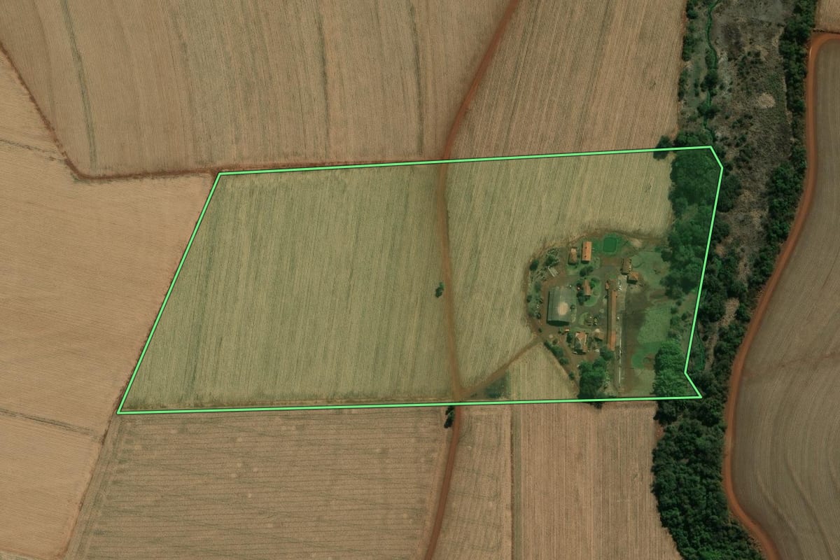 Imagem de satélite do imóvel rural em Palmital (SP), com o contorno declarado no CAR desenhado por cima.