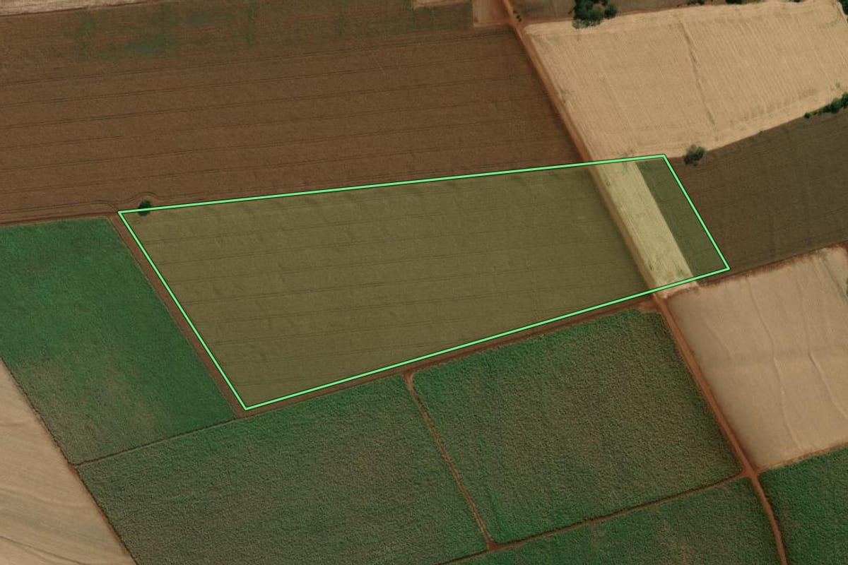 Imagem de satélite do imóvel rural em Palmital (SP), com o contorno declarado no CAR desenhado por cima.