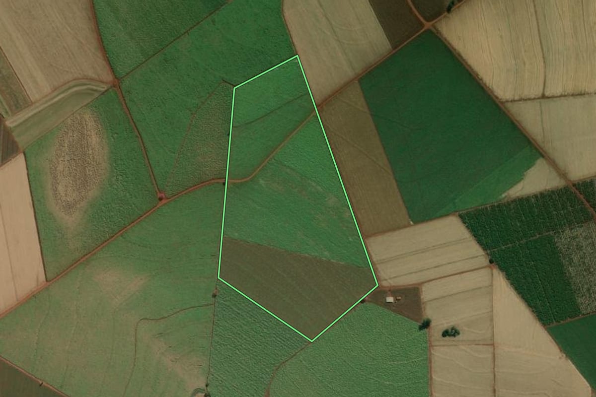 Imagem de satélite do imóvel rural em Palmital (SP), com o contorno declarado no CAR desenhado por cima.