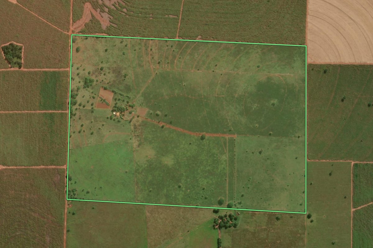 Imagem de satélite do imóvel rural em Panorama (SP), com o contorno declarado no CAR desenhado por cima.