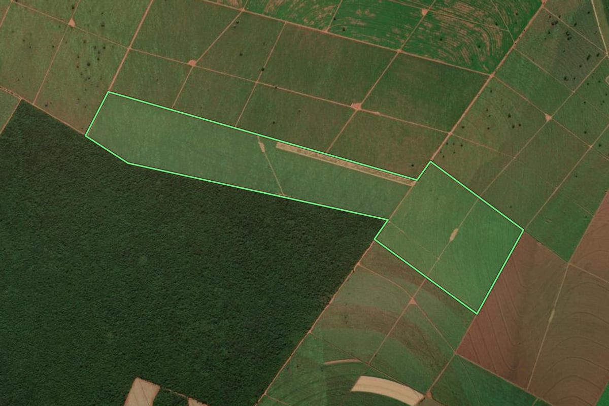 Imagem de satélite do imóvel rural em Panorama (SP), com o contorno declarado no CAR desenhado por cima.
