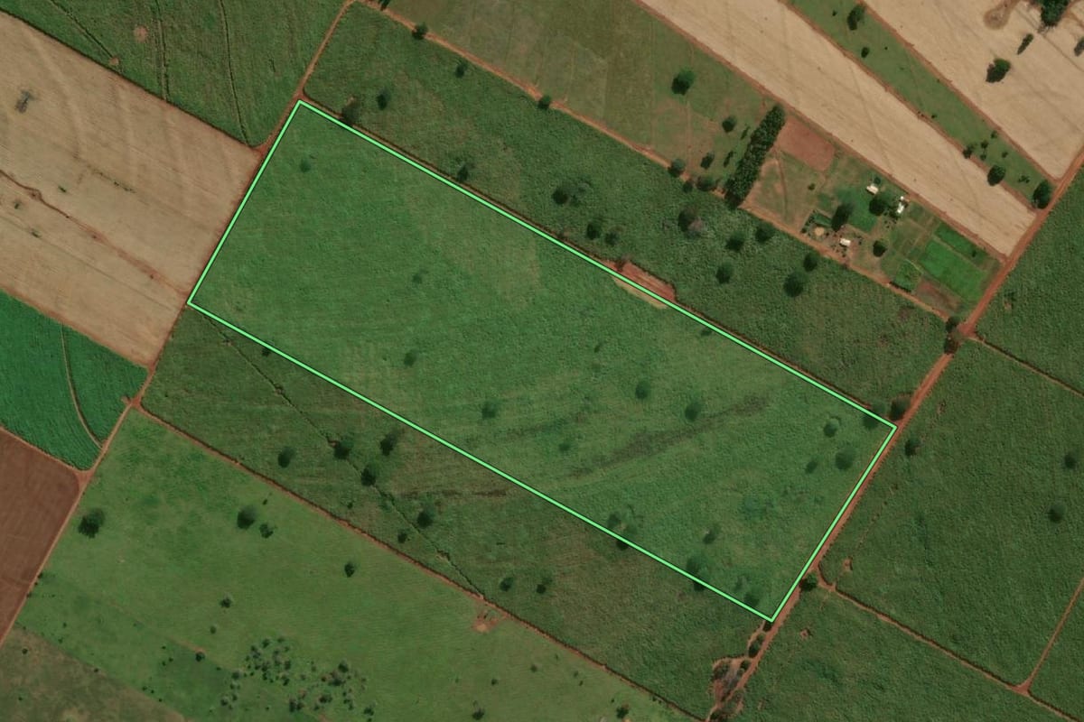 Imagem de satélite do imóvel rural em Panorama (SP), com o contorno declarado no CAR desenhado por cima.