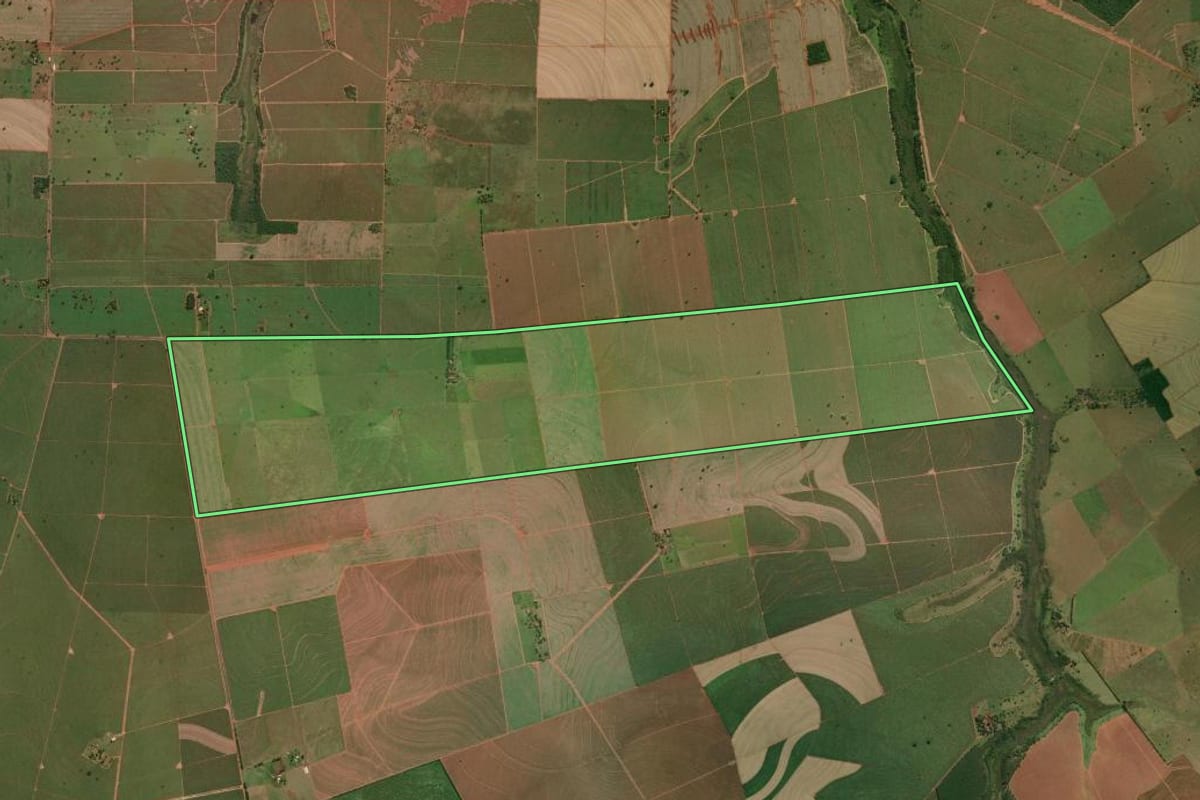 Imagem de satélite do imóvel rural em Panorama (SP), com o contorno declarado no CAR desenhado por cima.