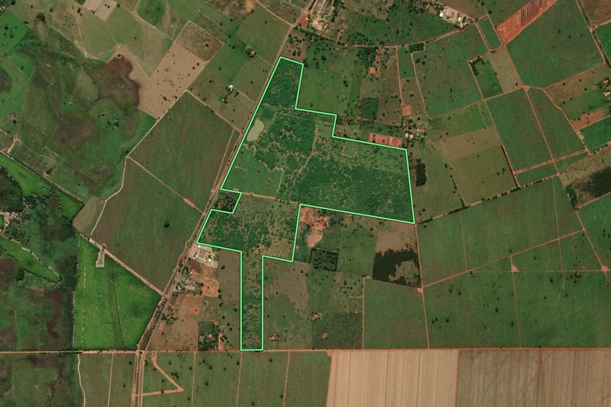 Imagem de satélite do imóvel rural em Panorama (SP), com o contorno declarado no CAR desenhado por cima.