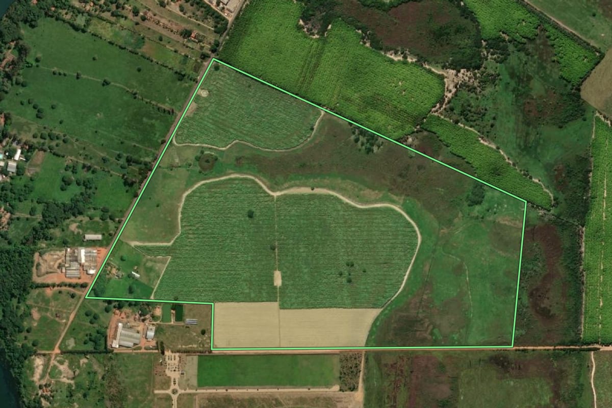 Imagem de satélite do imóvel rural em Panorama (SP), com o contorno declarado no CAR desenhado por cima.