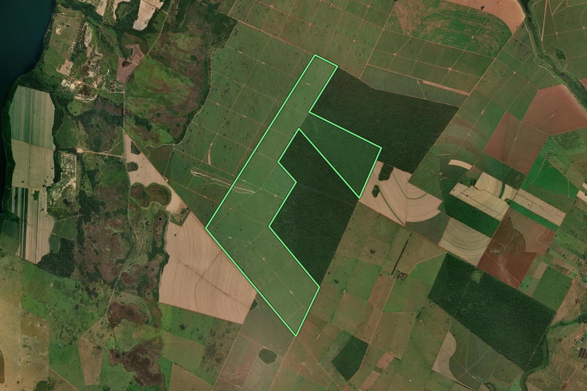 Imagem de satélite do imóvel rural em Panorama (SP), com o contorno declarado no CAR desenhado por cima.