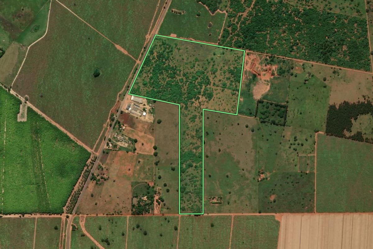 Imagem de satélite do imóvel rural em Panorama (SP), com o contorno declarado no CAR desenhado por cima.