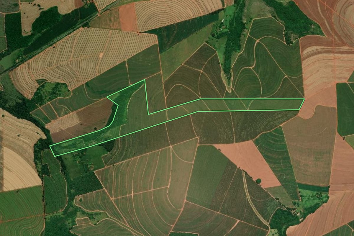 Imagem de satélite do imóvel rural em Paraguaçu Paulista (SP), com o contorno declarado no CAR desenhado por cima.