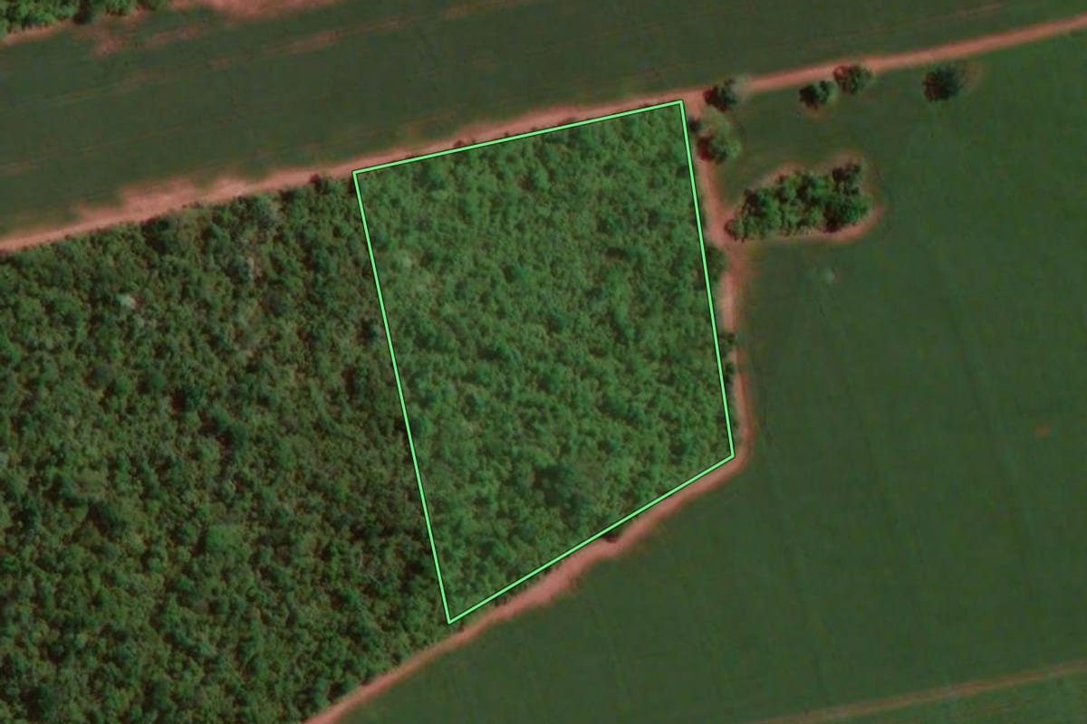 Imagem de satélite do imóvel rural em Paraguaçu Paulista (SP), com o contorno declarado no CAR desenhado por cima.