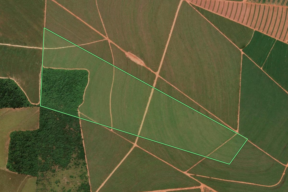 Imagem de satélite do imóvel rural em Paraguaçu Paulista (SP), com o contorno declarado no CAR desenhado por cima.