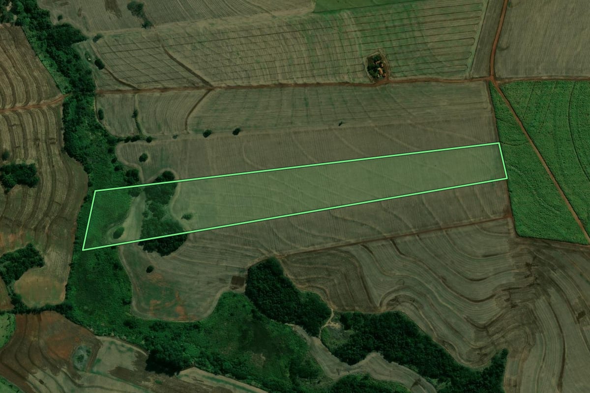 Imagem de satélite do imóvel rural em Paraguaçu Paulista (SP), com o contorno declarado no CAR desenhado por cima.