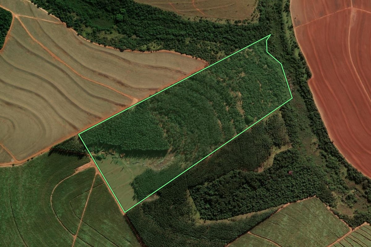 Imagem de satélite do imóvel rural em Paraguaçu Paulista (SP), com o contorno declarado no CAR desenhado por cima.