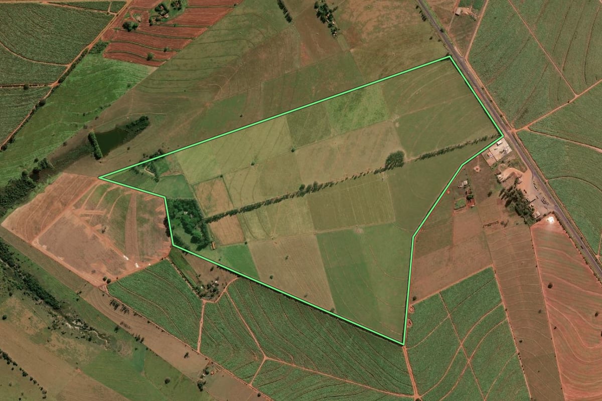 Imagem de satélite do imóvel rural em Paraguaçu Paulista (SP), com o contorno declarado no CAR desenhado por cima.
