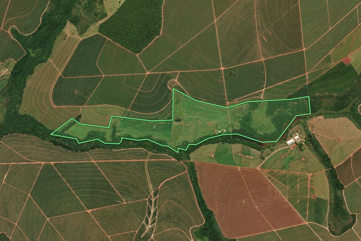 Imagem de satélite do imóvel rural em Paraguaçu Paulista (SP), com o contorno declarado no CAR desenhado por cima.