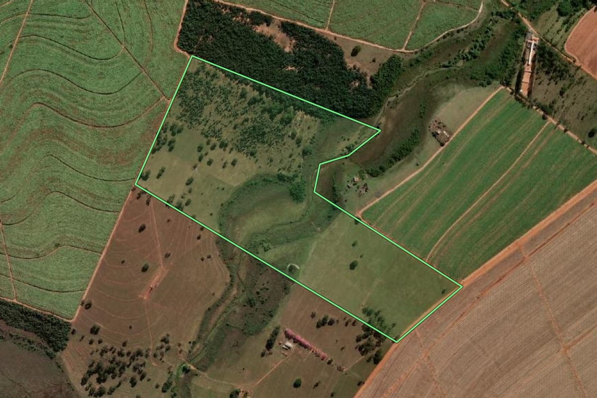 Imagem de satélite do imóvel rural em Paraguaçu Paulista (SP), com o contorno declarado no CAR desenhado por cima.