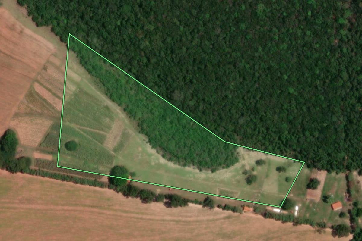 Imagem de satélite do imóvel rural em Paraguaçu Paulista (SP), com o contorno declarado no CAR desenhado por cima.