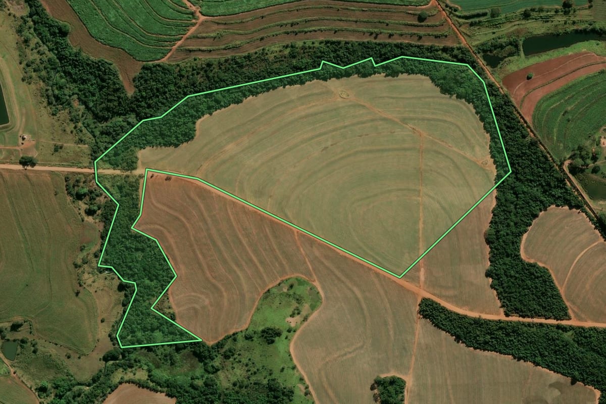 Imagem de satélite do imóvel rural em Paraguaçu Paulista (SP), com o contorno declarado no CAR desenhado por cima.