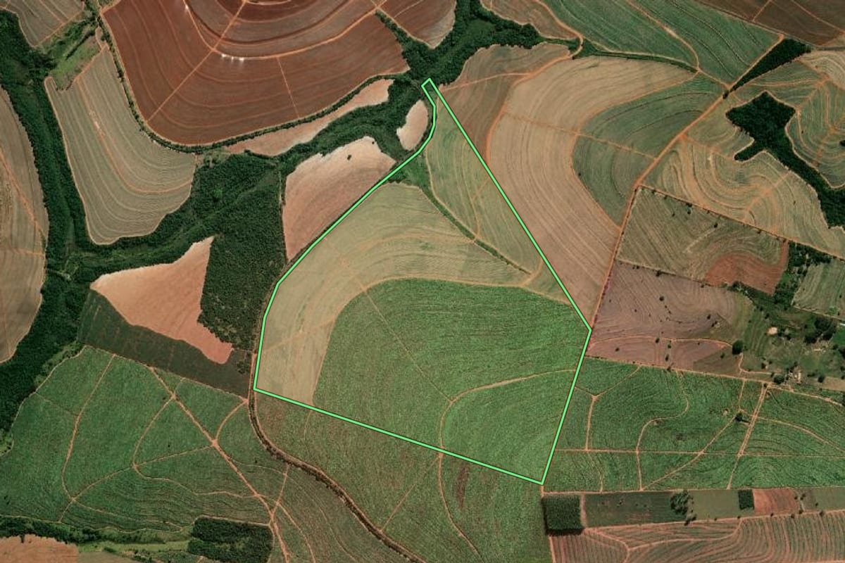 Imagem de satélite do imóvel rural em Paraguaçu Paulista (SP), com o contorno declarado no CAR desenhado por cima.