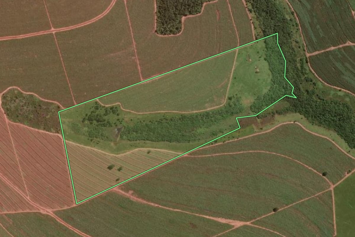 Imagem de satélite do imóvel rural em Paraguaçu Paulista (SP), com o contorno declarado no CAR desenhado por cima.