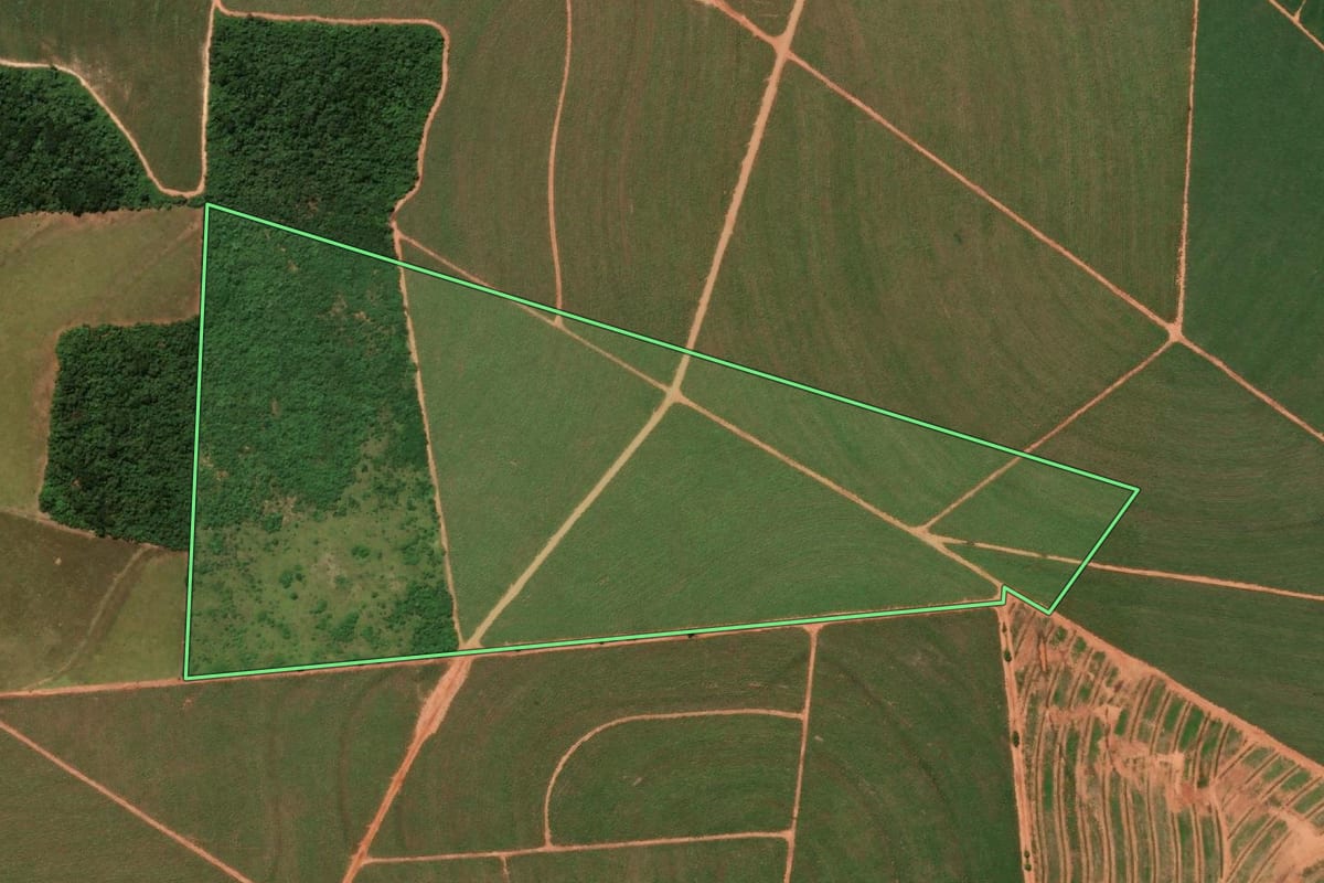 Imagem de satélite do imóvel rural em Paraguaçu Paulista (SP), com o contorno declarado no CAR desenhado por cima.