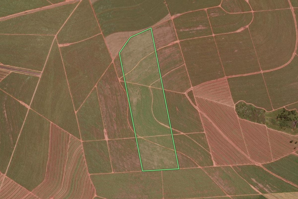 Imagem de satélite do imóvel rural em Paraguaçu Paulista (SP), com o contorno declarado no CAR desenhado por cima.