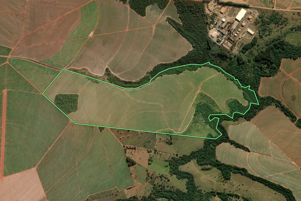 Imagem de satélite do imóvel rural em Paraguaçu Paulista (SP), com o contorno declarado no CAR desenhado por cima.