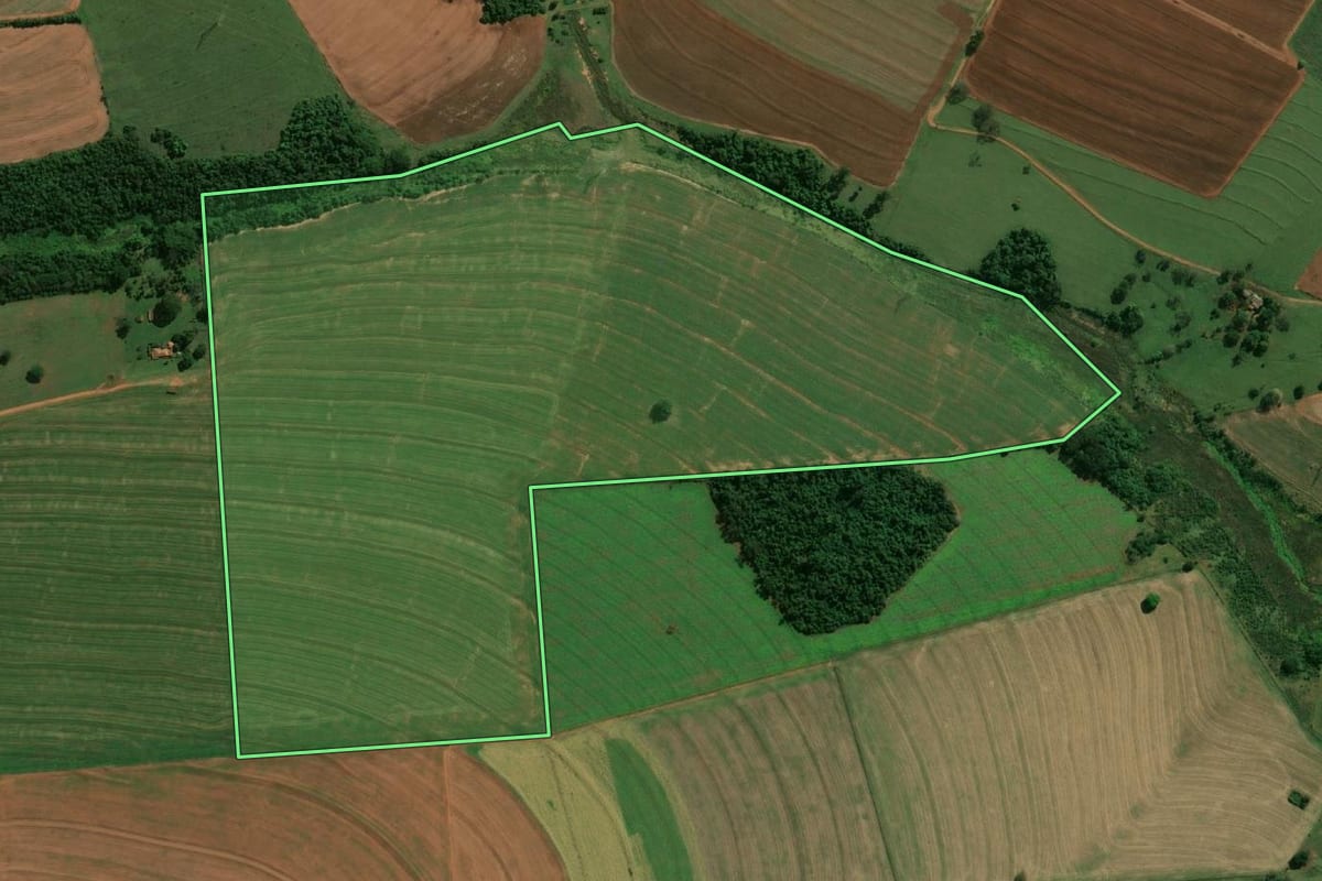 Imagem de satélite do imóvel rural em Paraguaçu Paulista (SP), com o contorno declarado no CAR desenhado por cima.