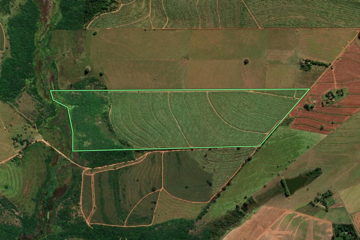 Imagem de satélite do imóvel rural em Paraguaçu Paulista (SP), com o contorno declarado no CAR desenhado por cima.