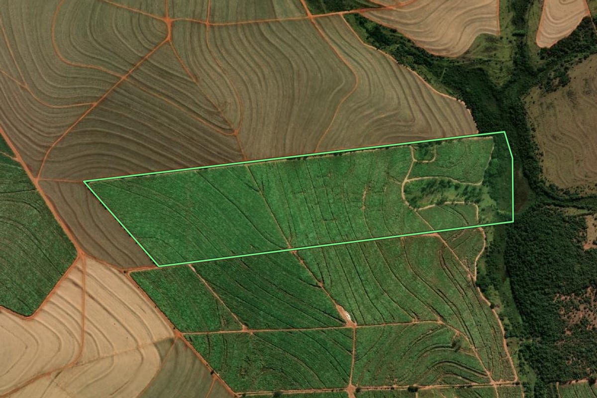 Imagem de satélite do imóvel rural em Paraguaçu Paulista (SP), com o contorno declarado no CAR desenhado por cima.